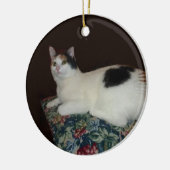 Calico Cat Keramisch Ornament (Links)