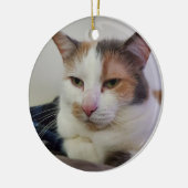 Calico cat keramisch ornament (Links)