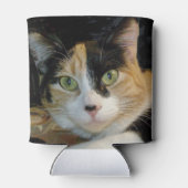 Calico Cat-Koelboxxen Blikjeskoeler (Achterkant)