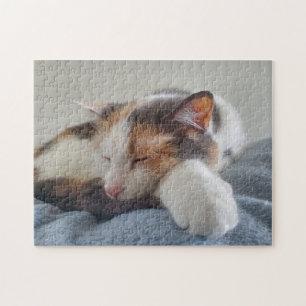 Calico Cat Legpuzzel