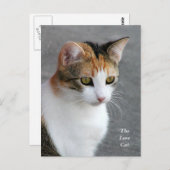 Calico Cat Love Briefkaart (Voorkant / Achterkant)