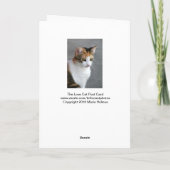 Calico Cat Love & Light Kaart (Achterkant)
