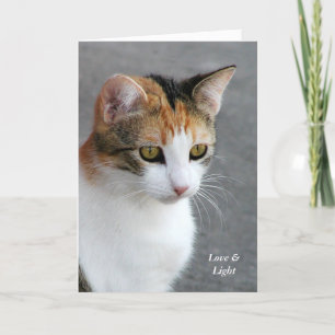 Calico Cat Love & Light Kaart