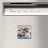 Calico cat magneet (Insitu (Vaatwasser))
