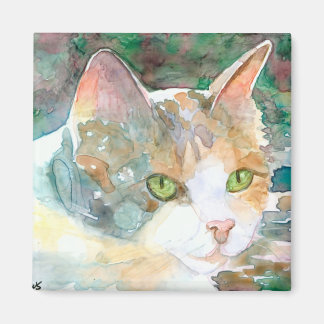 Calico Cat Magnet Magneet