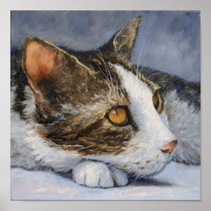 Calico Cat met Geel Oyes Portret Poster