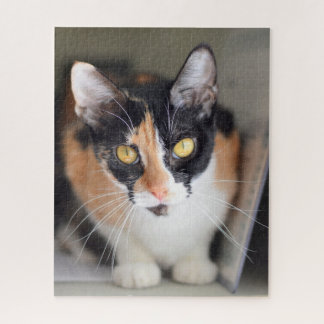 Calico Cat met gele ogen Legpuzzel