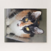 Calico Cat met gele ogen Legpuzzel (Horizontaal)