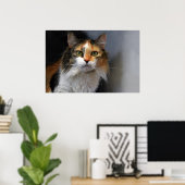 Calico Cat met lange adem Poster (Thuiskantoor)