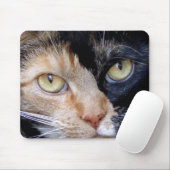 Calico cat mousepad muismat (Met muis)