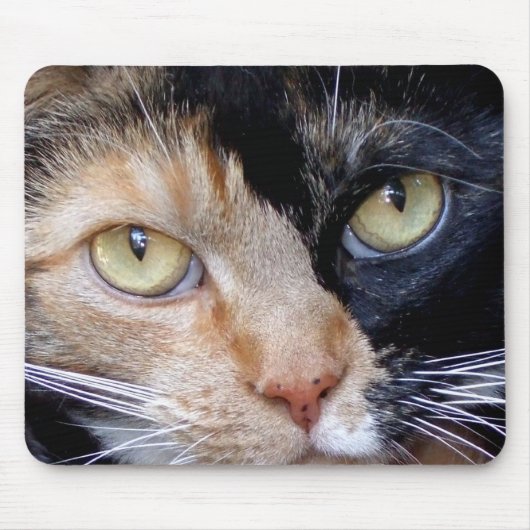 Calico cat mousepad muismat (Voorkant)