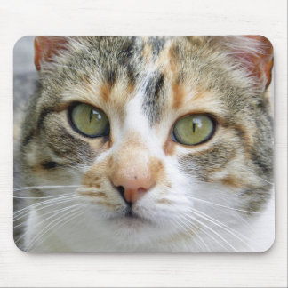 Calico Cat Mousepad Muismat