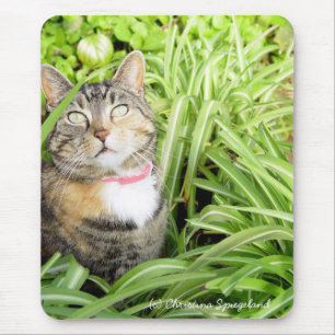 Calico Cat Mousepad Muismat