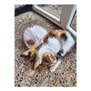 Calico Cat Ontspannen Vredig op Textured Ground Foto Afdruk