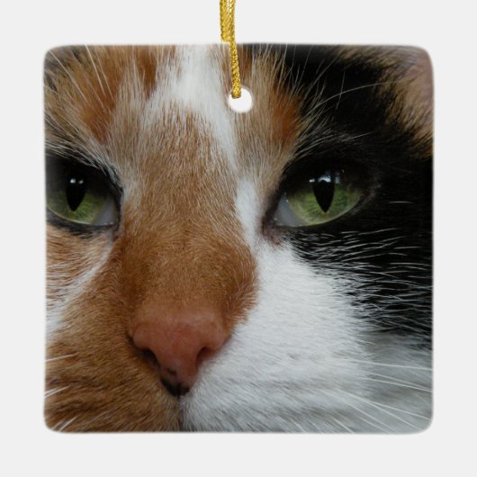 Calico Cat Ornament (Voorkant)