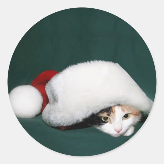 Calico cat Père Noël autocollant (Devant)