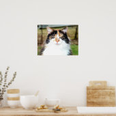 Calico Cat Poster (Keuken)