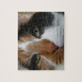 Calico Cat Puzzle (Vertical)