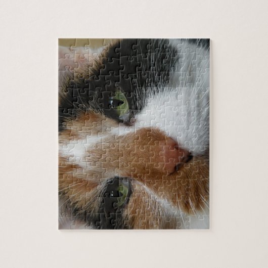 Calico Cat Puzzle (Vertical)