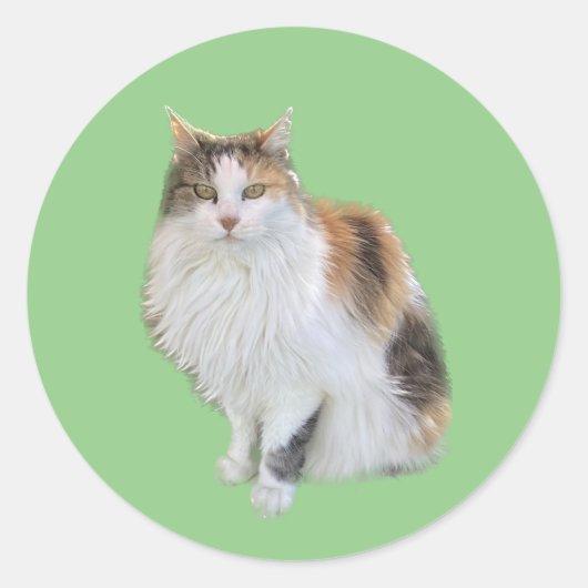 Calico Cat Sticker (Voorkant)