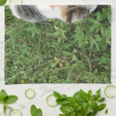 Calico Cat Theedoek (Gevouwen)