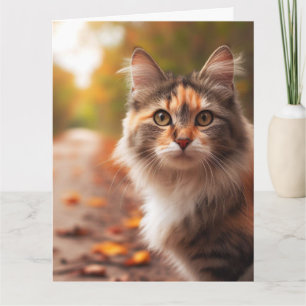 CALICO CAT VERJAARDAG WENSKAART KAART