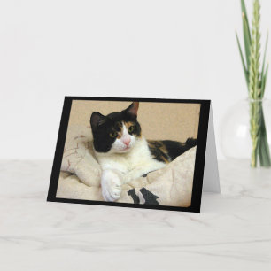Calico Cat Verjaardagswensen Kaart