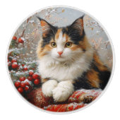 Calico Cat Winter Scene Schilderij Keramische Knop (Voorkant)