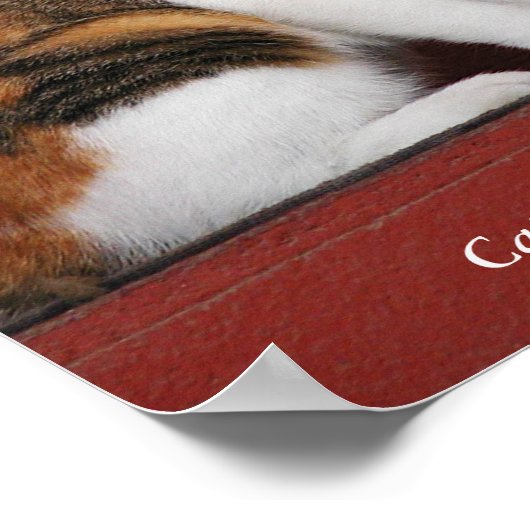 Calico Cats Règle ! Affiche (Coin)