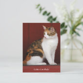 Calico Cats Rule! Post Card Briefkaart (Staand voorkant)