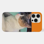 Calico Chat dans le lit de chat (Verso Horizontal)