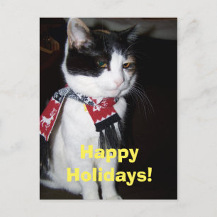 Calico Chat Portant Écharpe Happy Halidays Carte p