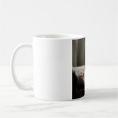 Calico dort dans la tasse au soleil (Gauche)