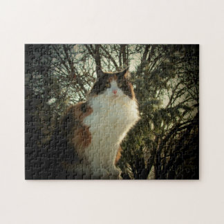 Calico en pijnhout of uw foto-puzzel legpuzzel