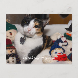 Calico en Snowmen Briefkaart