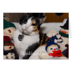 Calico en Snowmen denken aan je kaart