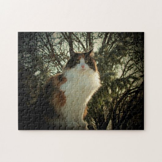 Calico et pine ou votre puzzle photo (Horizontal)