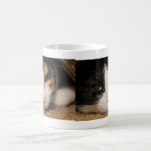 Calico Face Café Mug (Centre)