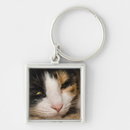 Calico Face Sleutelhanger (Voorkant)