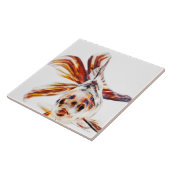 Calico Fantail Comet goldfish (Carassius) Tegeltje (Zijkant)