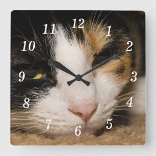 Calico Gezicht Wandklok Vierkante Klok