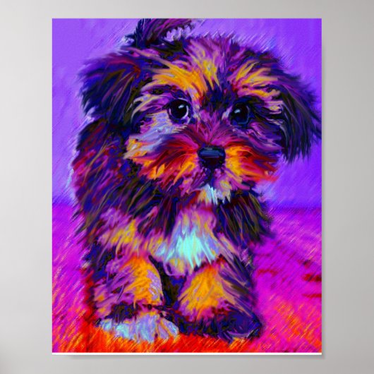 calico hond poster (Voorkant)