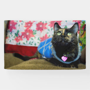 Calico II Spandoek