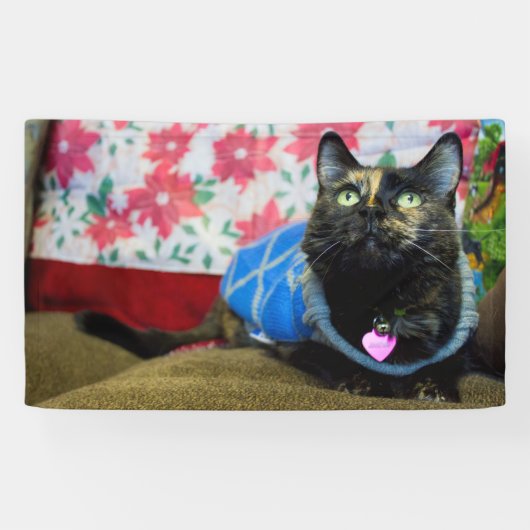 Calico II Spandoek (Horizontaal)