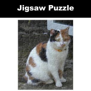 Calico-kat buiten legpuzzel