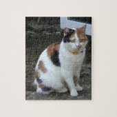 Calico-kat buiten legpuzzel (Verticaal)