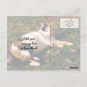 Calico-kat ligt op het gras briefkaart (Achterkant)