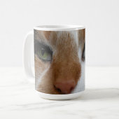 Calico kat mok (Voorkant links)