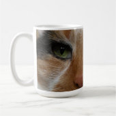 Calico kat mok (Links)
