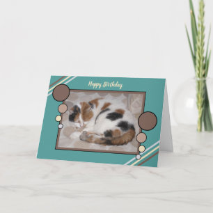 Calico kat opgerold in slaap foto bruin turquoise kaart